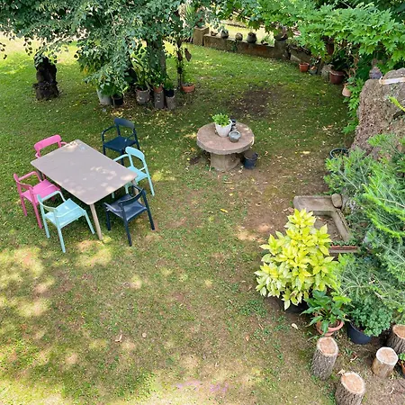 Baseia - Amb Jardi I Acces Privat A La Fageda *